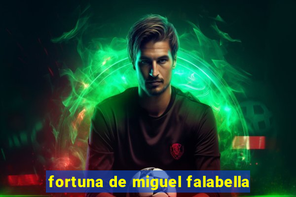 fortuna de miguel falabella